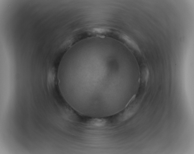 X0000113880328200909241357