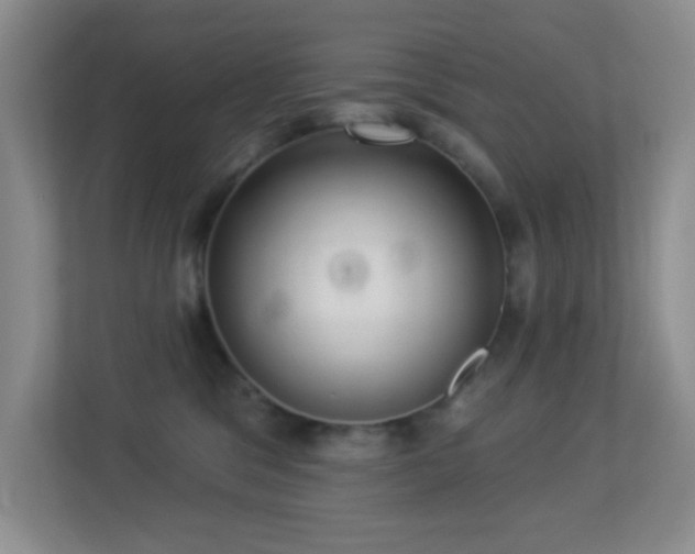 X0000113880329200909241357