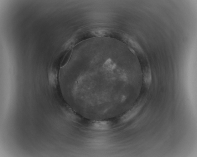 X0000113880332200909241357