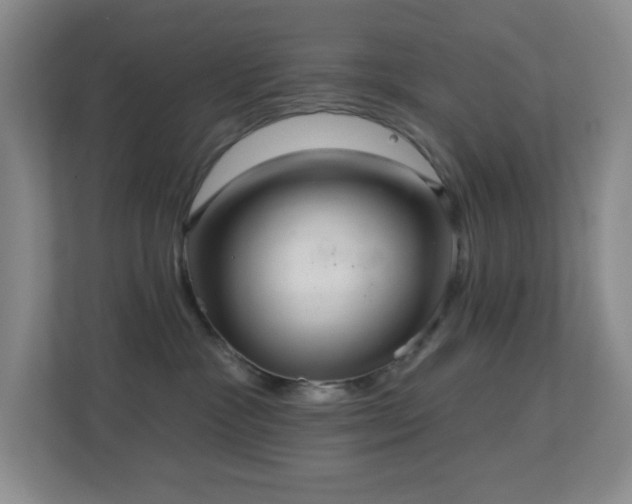 X0000113880333200909241357