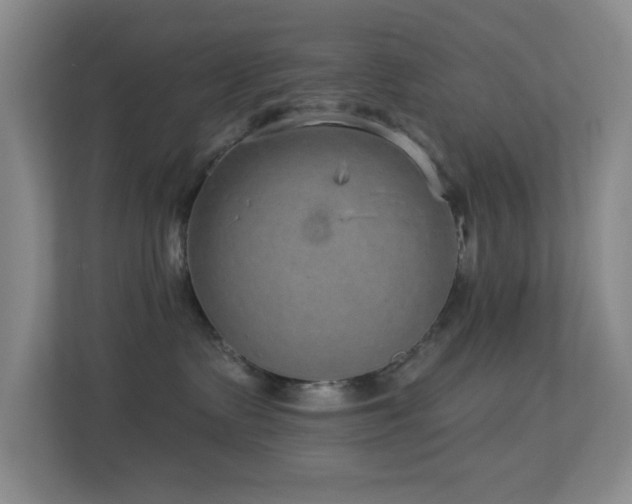 X0000113880335200909241357