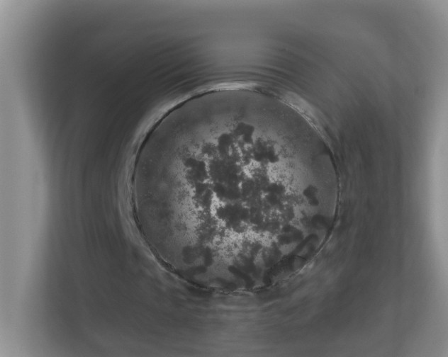 X0000113880337200909241357