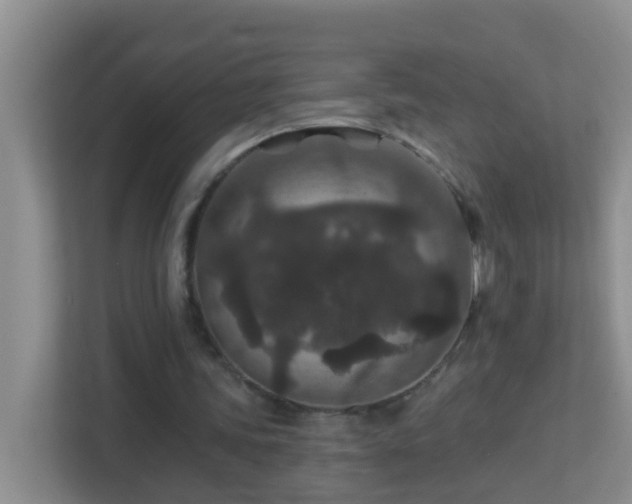 X0000113880339200909241357