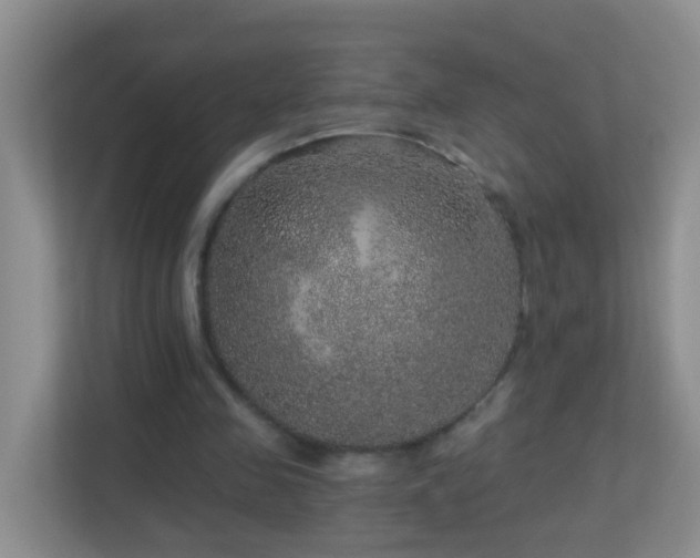 X0000113880341200909241357