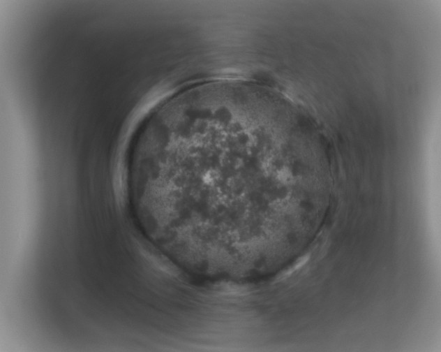 X0000113880343200909241357