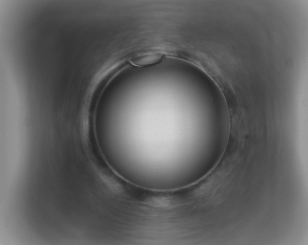 X0000113880344200909241357
