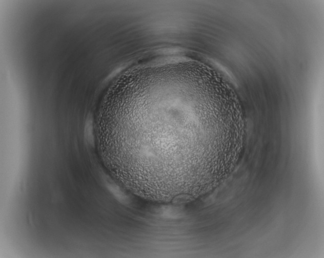 X0000113880345200909241357