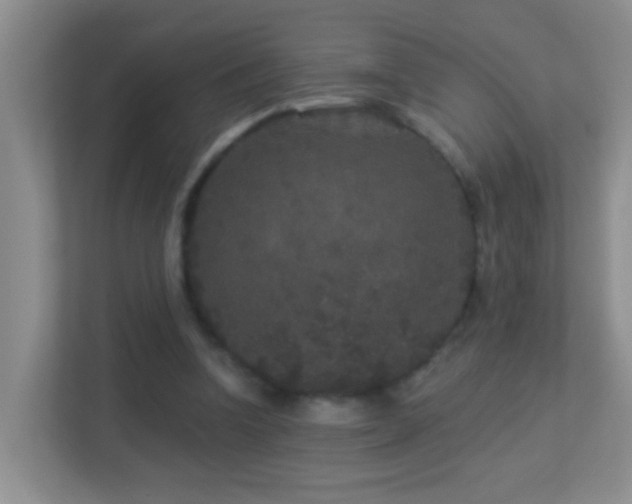 X0000113880346200909241357