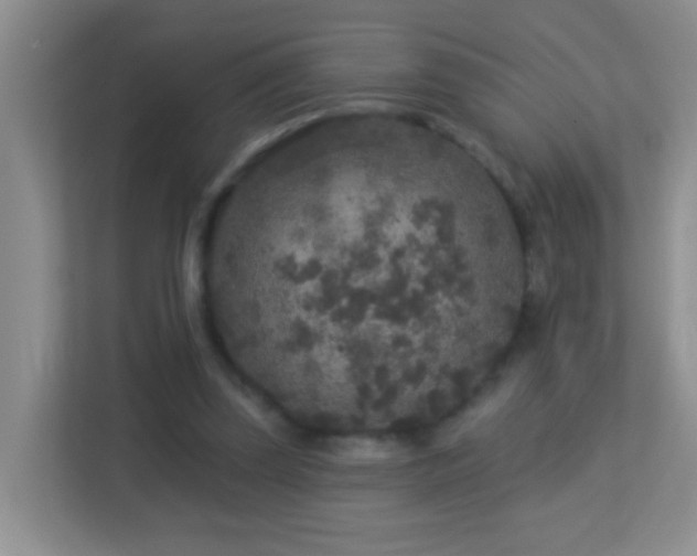 X0000113880347200909241357