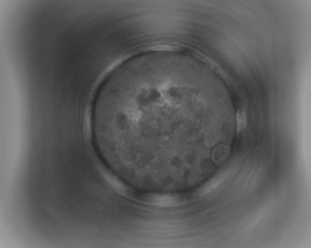 X0000113880349200909241357