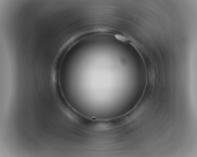 X0000113880350200909241357