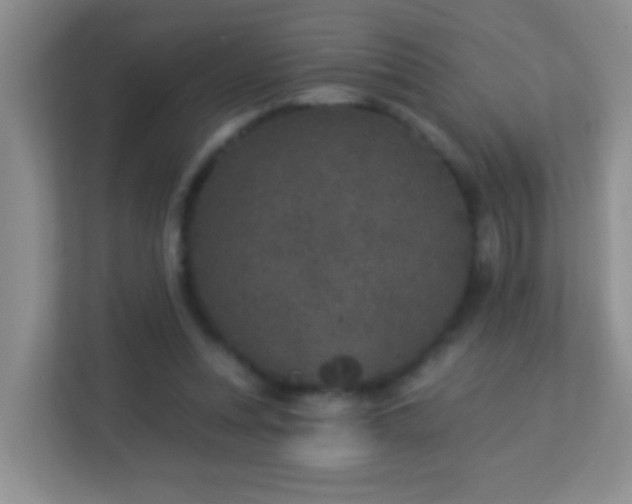 X0000113880351200909241357