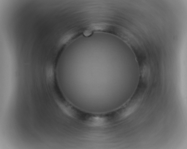 X0000113880352200909241357