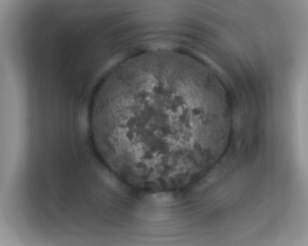X0000113880353200909241357