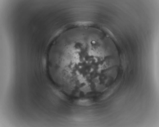 X0000113880357200909241357
