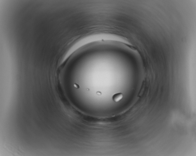 X0000113880360200909241357