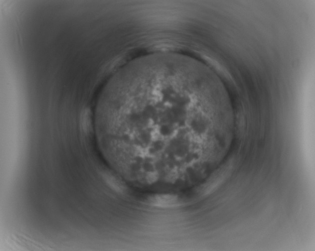 X0000113880361200909241357
