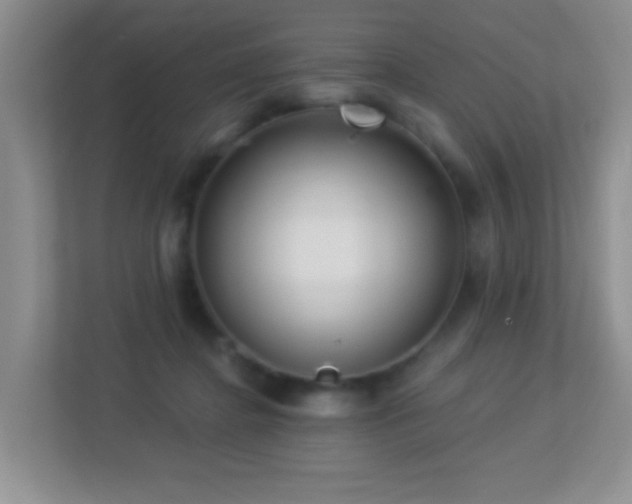 X0000113880364200909241357
