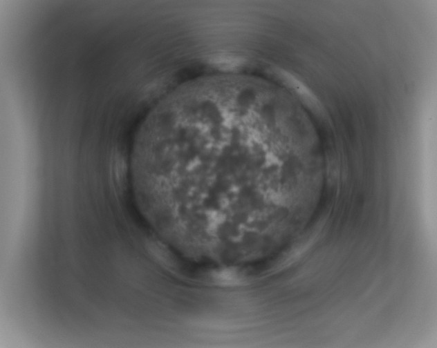 X0000113880365200909241357
