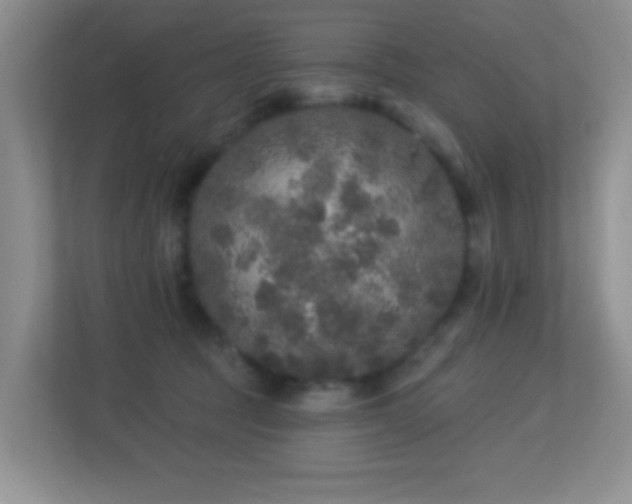 X0000113880369200909241357
