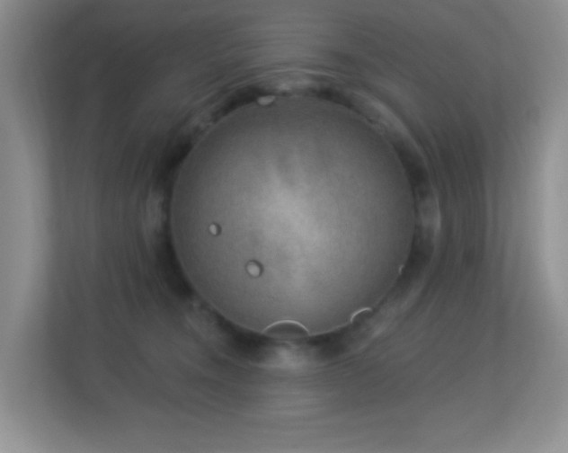 X0000113880372200909241357