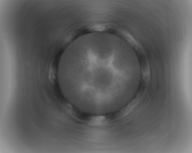 X0000113880374200909241357