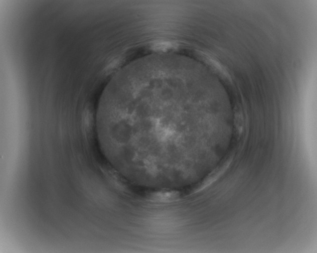 X0000113880375200909241357