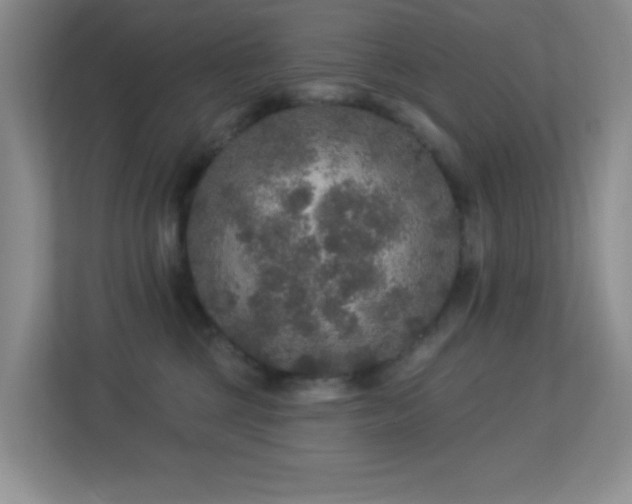 X0000113880377200909241357