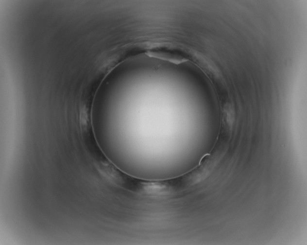 X0000113880380200909241357