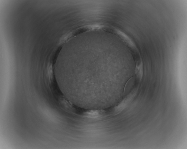 X0000113880381200909241357
