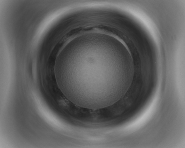 X0000113880382200909241357