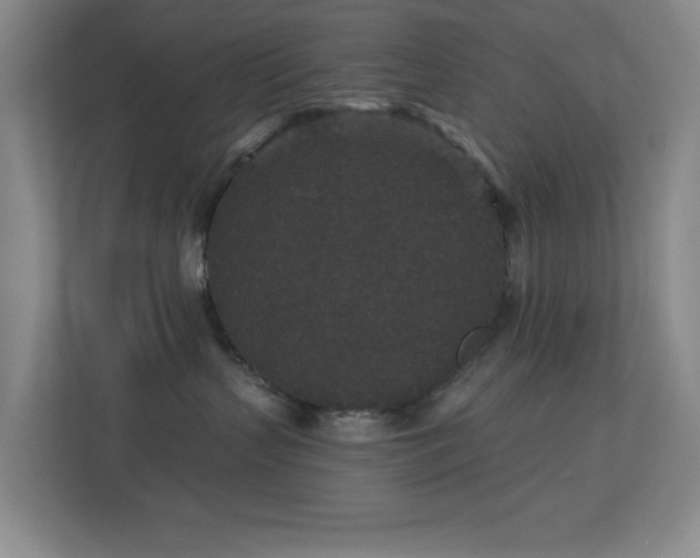 X0000113880383200909241357