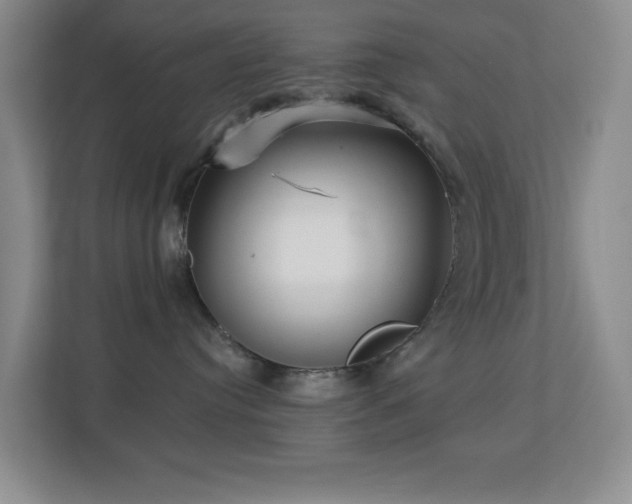 X0000113880384200909241357