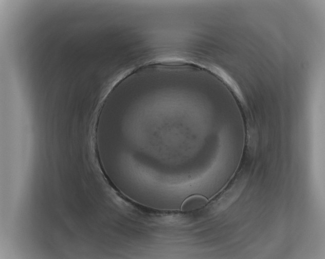 X0000113880385200909241357