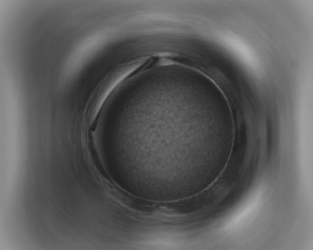 X0000113880387200909241357