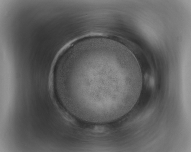X0000113880388200909241357