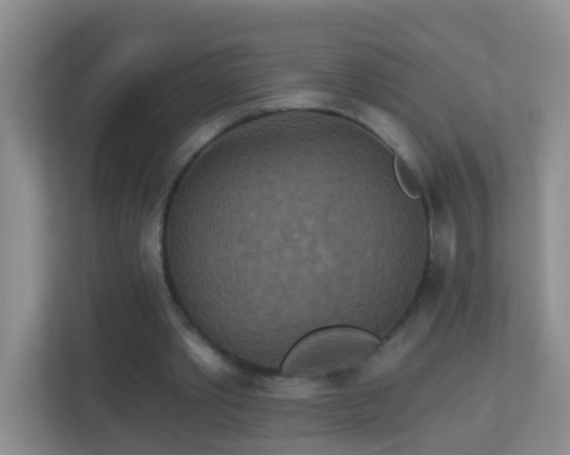 X0000113880389200909241357