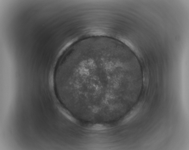 X0000113880390200909241357