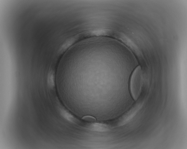 X0000113880393200909241357