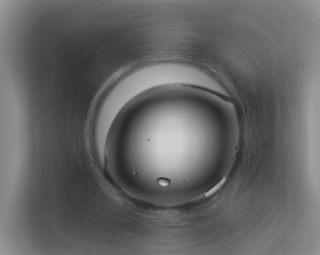 X0000113880395200909241357