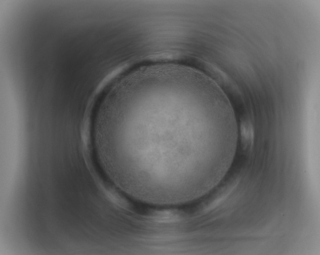 X0000113880396200909241357