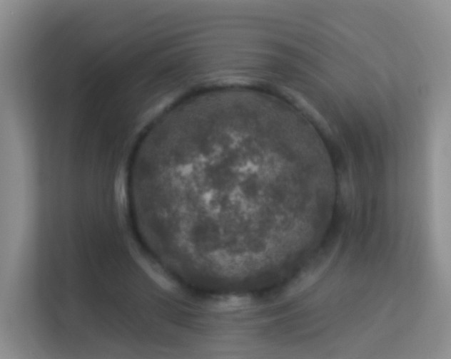 X0000113880398200909241357