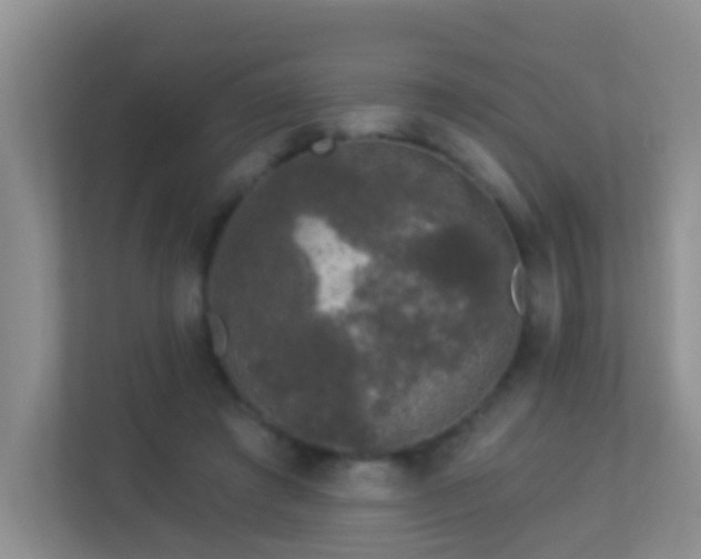 X0000113880401200909241357