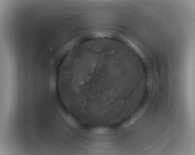 X0000113880402200909241356