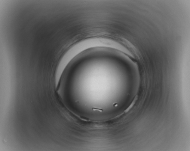 X0000113880405200909241356