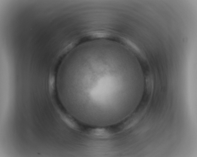 X0000113880406200909241356