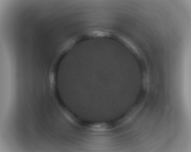 X0000113880410200909241356