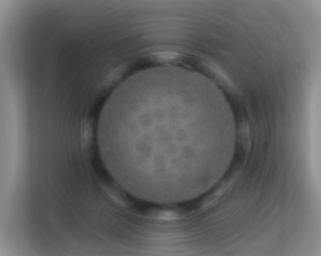 X0000113880412200909241356