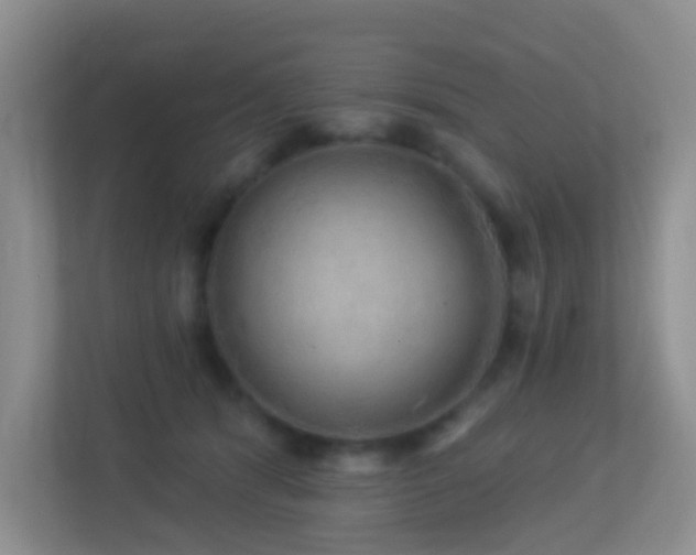 X0000113880416200909241356