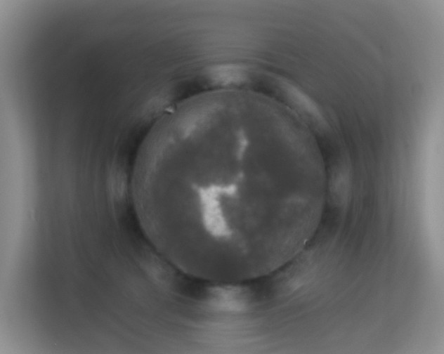 X0000113880417200909241356